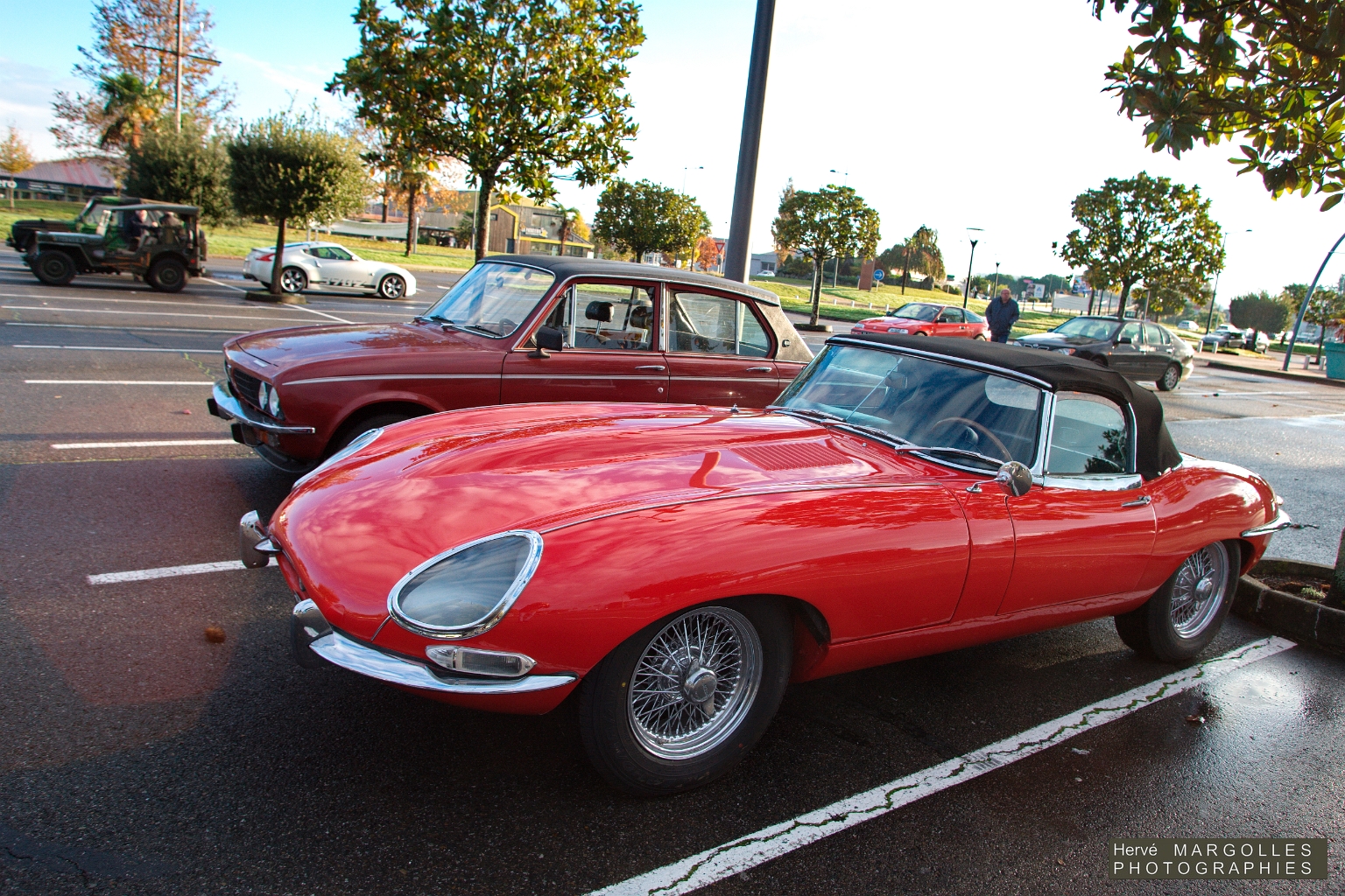 Jaguar Type E_05.jpg